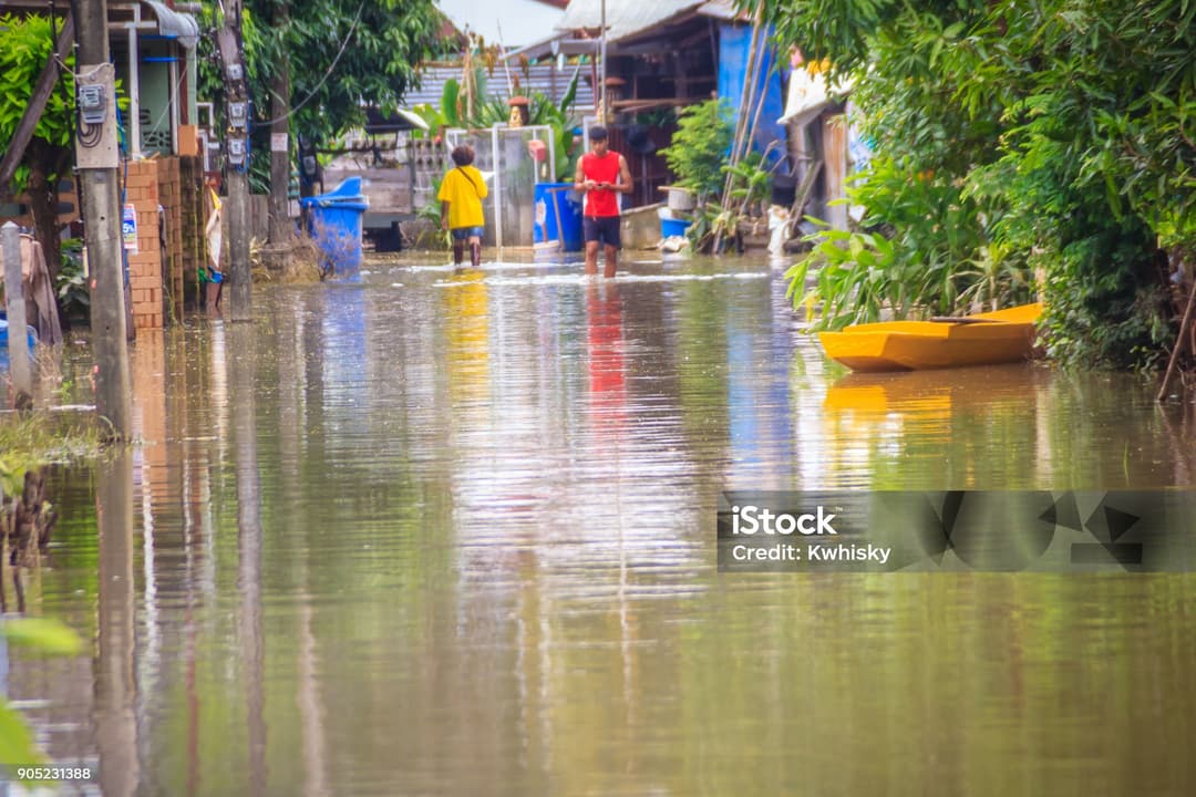 Flood Relief Program